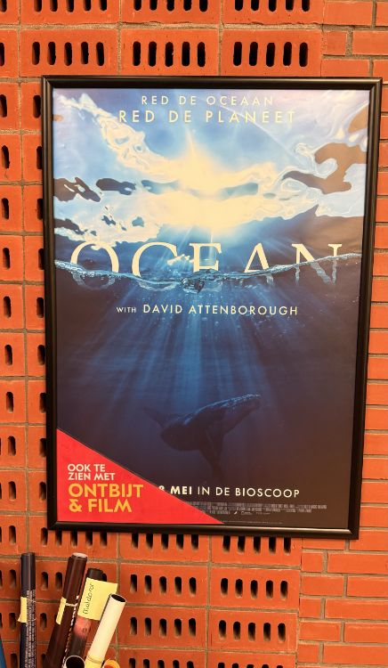 Ocean With David Attenborough film poster