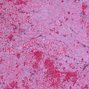 Raw Earht 06 - Sander Hupkes Art – 5.webp